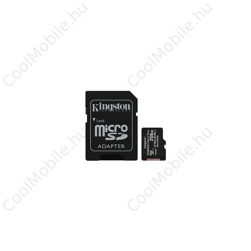 Kingston Canvas Select Plus SDCS2 256 GB Class 10/UHS-I (U1) microSDXC